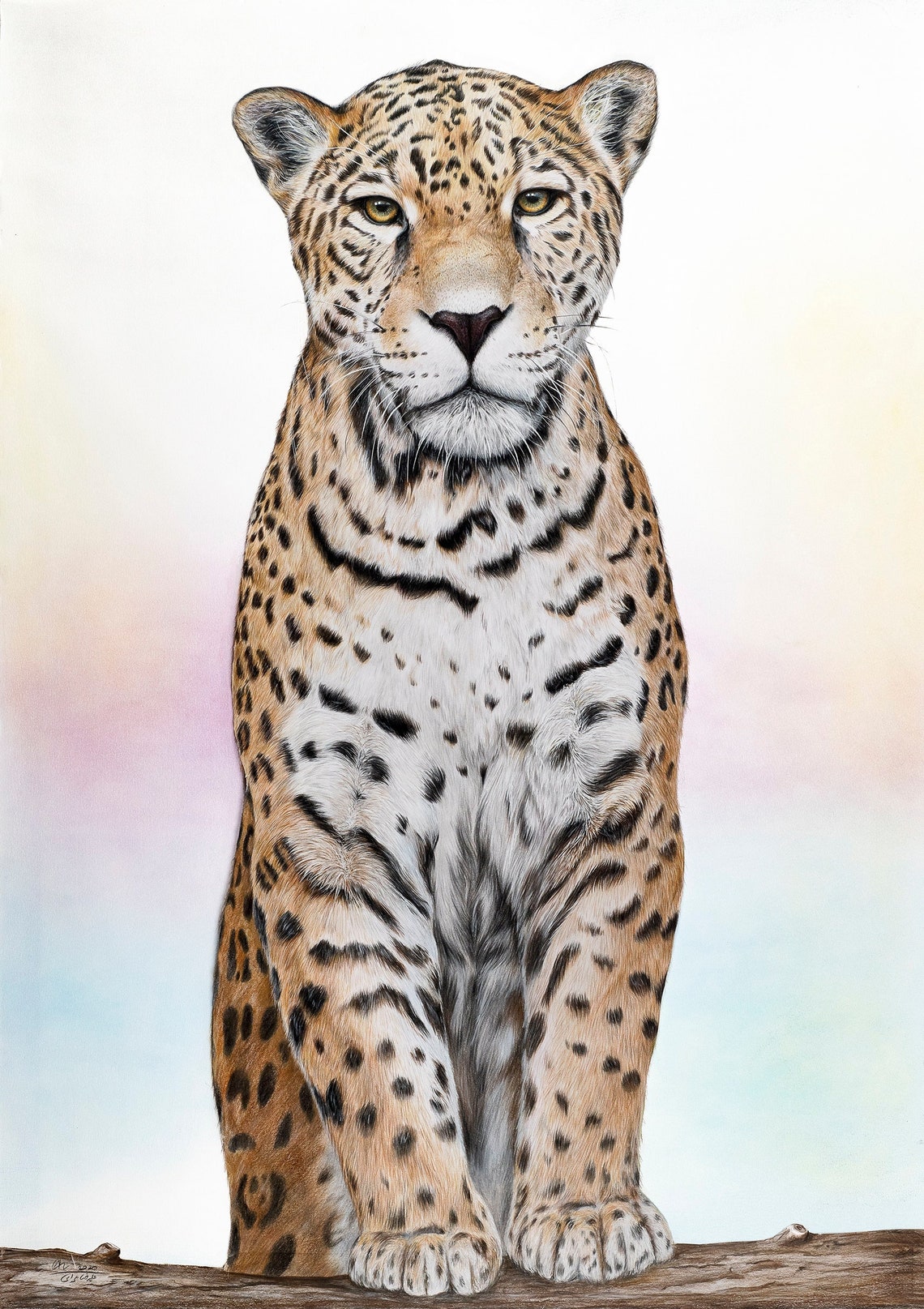 Realistic Jaguar Drawing Print: Wildlife Artwork in Vibrant Etsy