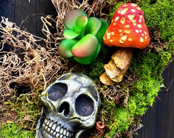 Mushroom and Skull Decor, Moss Succulent Decor, Witchy Decor, Cottagecore Wall Hanging, Fairycore Wall Hangings, Goblincore Decor