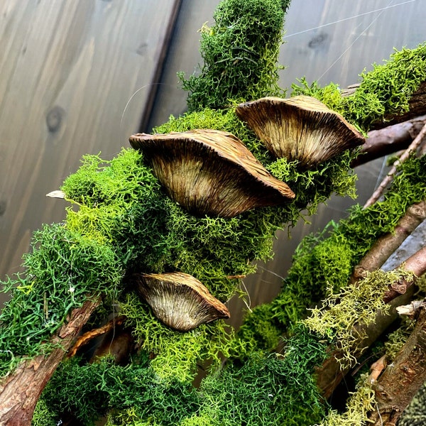 Mushroom and Moss Decor, Witchy Decor, Cottagecore Wall Hanging, Fairycore Wall Hangings, Goblincore Decor