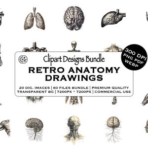 Könnte beinhalten: Eine Sammlung von Retro-Anatomiezeichnungen in Schwarzweiß, darunter Illustrationen von Herz, Lunge, Gehirn, Leber, Hand und Bein. Der Text "Clipart Designs Bundle RETRO ANATOMY DRAWINGS" ist enthalten.