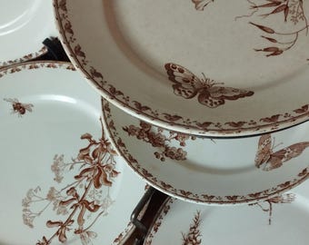 May include: A collection of antique white ceramic plates with brown floral and butterfly designs. The plates have a brown border and are stacked on a metal rack. The plates are a vintage style.