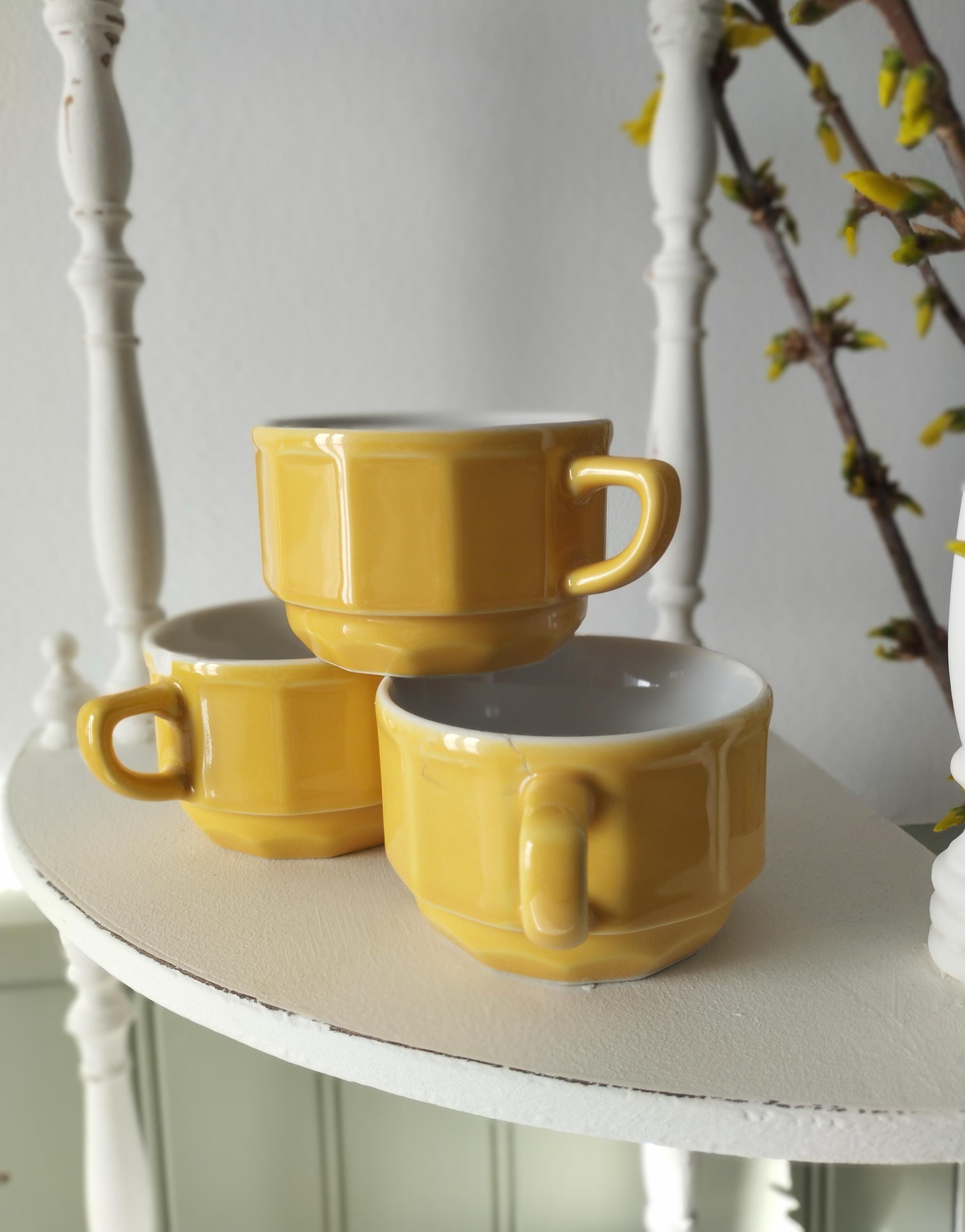 Apilco Porcelain Yves Deshoulieres - Etsy Canada