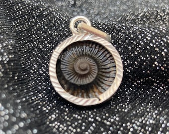 Shaligram in Silver Pendant, Religious Gifts, Sudarshan Saligram Stone Gandaki River Nepal, Ritual Object