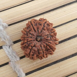 11 Mukhi Nepali Rudraksha Pendant -IGL Lab Certified in Sterling Silver, Spiritual Gifts, Yoga Pendant, Handmade Jewelry