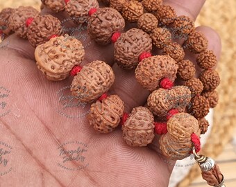 Siddh Mala - 1 ～ 14 ムキ ルドラクシャ ビーズ、ガウリ シャンカール