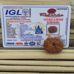 11 Mukhi Nepali Rudraksha Pendant -IGL Lab Certified in Sterling Silver, Spiritual Gifts, Yoga Pendant, Handmade Jewelry