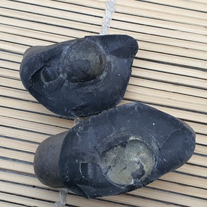Massive big Double side Hiranya Garbha Shaligram, Shaligram Shila Rare Shaligram Shila Shaligram from Gandaki River