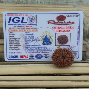 11 Mukhi Nepali Rudraksha Pendant -IGL Lab Certified in Sterling Silver, Spiritual Gifts, Yoga Pendant, Handmade Jewelry