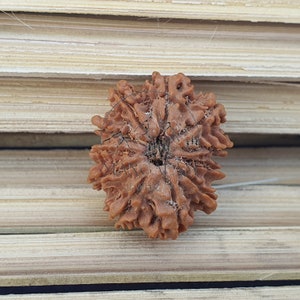 11 Mukhi Nepali Rudraksha Pendant -IGL Lab Certified in Sterling Silver, Spiritual Gifts, Yoga Pendant, Handmade Jewelry