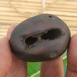 Very Rare Ugra Narsimha Shaligram, Rare Brown Shaligram Religious Gifts, Saligram Stone, Gandaki River Nepal, Ritual Object, Pooja Item