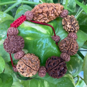 Rudraksha 2 3 4 5 6 7 Mukhi (Gesicht) Perlen Mala Armband Armband für Männer und Frauen, Rudraksha Armband, Shiva Armreif.
