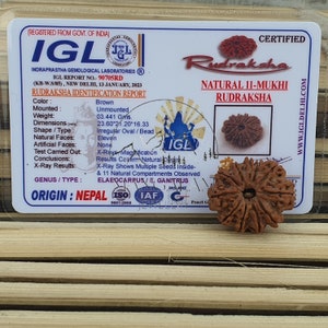 11 Mukhi Nepali Rudraksha Pendant -IGL Lab Certified in Sterling Silver, Spiritual Gifts, Yoga Pendant, Handmade Jewelry