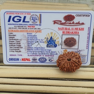 11 Mukhi Nepali Rudraksha Pendant -IGL Lab Certified in Sterling Silver, Spiritual Gifts, Yoga Pendant, Handmade Jewelry