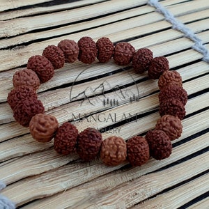Ten Mukhi 12-13 mm Perlenarmband -Labor zertifiziert, 10 Mukhi Rudraksha Armband, Shiva Armband, Yoga-Armband, zehnseitiges Rudraksha Armband