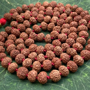 Rare Big Seven Mukhi Rudraksha Mala, Lab certified, Seven Face Rudraksha Mala, Natural Undyed 14mm, 7 Mukhi Mala Bead, 7 Face Rudraksha Mala