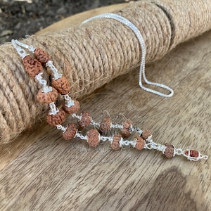Siddha Mala 1 - 14 Mukhi , Gauri Shankar , Ganesh Rudraksha Rudraksh in Silver Lab Certified