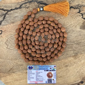 Rare Big Four Mukhi Rudraksha Mala, 4 Mukhi Mala, Four Faced Rudraksha Mala 4 Face Rudraksha Japa Mala
