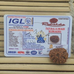 11 Mukhi Nepali Rudraksha Pendant -IGL Lab Certified in Sterling Silver, Spiritual Gifts, Yoga Pendant, Handmade Jewelry