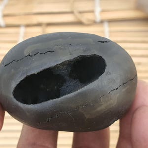 Golden, Brownish Narsimha Shaligram, Narsimha Saligram Stone - Gandaki River Nepal, Ritual Object, Pooja Item, Vishnu Puja
