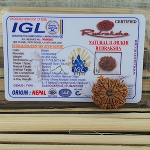 11 Mukhi Nepali Rudraksha Pendant -IGL Lab Certified in Sterling Silver, Spiritual Gifts, Yoga Pendant, Handmade Jewelry