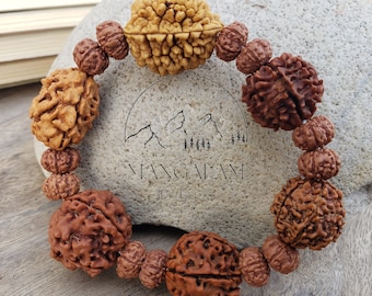 Rudraksha 2 3 4 5 6 7 Mukhi (Face) Beads Mala Wrist Band Bracelet For Men and Women, Rudraksha Bracelet, Shiva armlet.