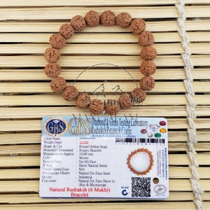 Six Mukhi Rudraksha Bracelet - Lab Certified, 6 Mukhi Rudraksha Bracelet, Yoga Gifts, Handmade Jewelry