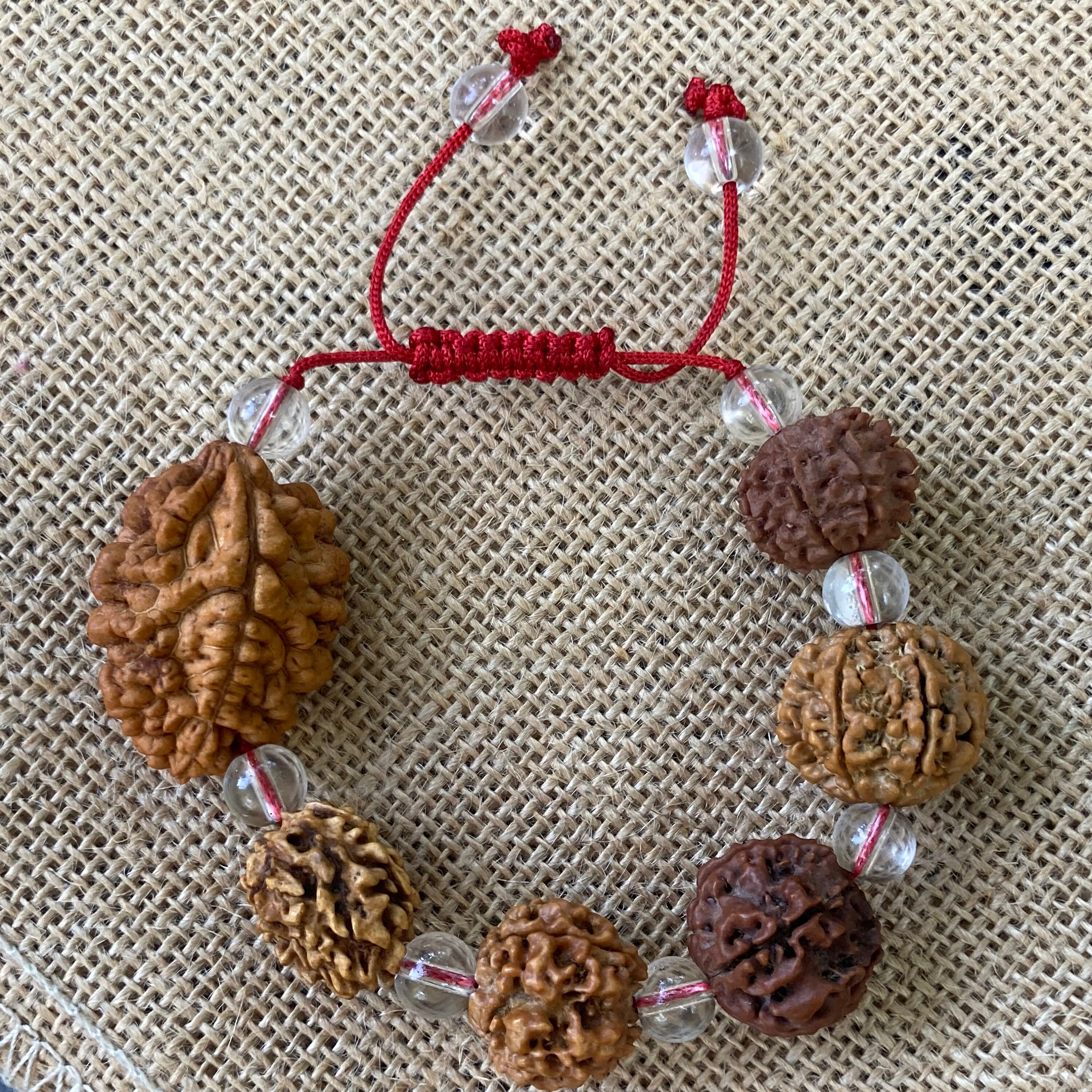 ルドラクシャ 2 3 4 5 6 7 ムキ (顔) ブレスレット、ルドラクシャ