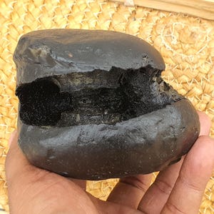 Laxmi Narsimha Shaligram, Religious Gifts, Saligram Stone - Gandaki River Nepal, Ritual Object