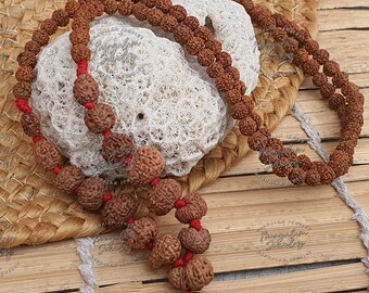 Siddh Mala - 1 ～ 14 ムキ ルドラクシャ ビーズ、ガウリ シャンカール