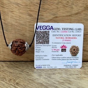 5 Mukhi Nepal Rudraksha Pendant-Lab Certified in Metal caping, Shiva Pendant, Spiritual Gifts, Yoga Pendant, Five Faced Rudraksha Pendant