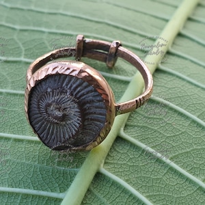 Shaligram Ring, Sudershan Shaligram Ring, Religious Gifts, Sudarshan Saligram Stone Gandaki River Nepal, Ritual Object