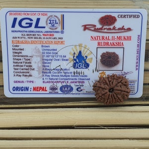 11 Mukhi Nepali Rudraksha Pendant -IGL Lab Certified in Sterling Silver, Spiritual Gifts, Yoga Pendant, Handmade Jewelry