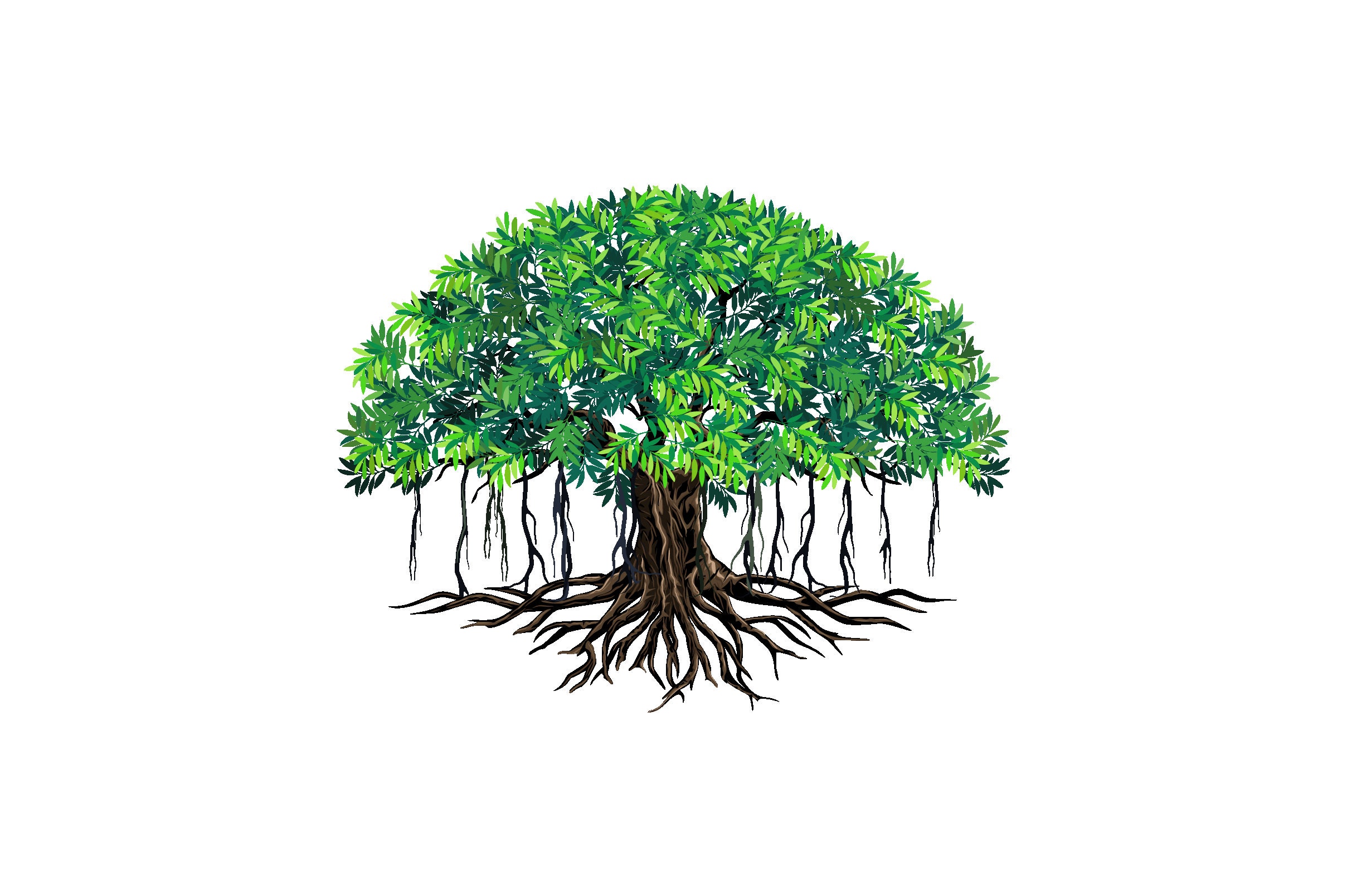 Banyan Tree Wall Art - Etsy