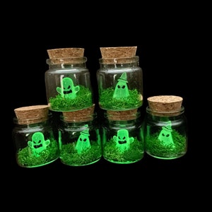 Pet ghost in a bottle glow in the dark, pet ghost in a jar , miniature ghost, Halloween decor, pet ghost in a bottle, Summerween