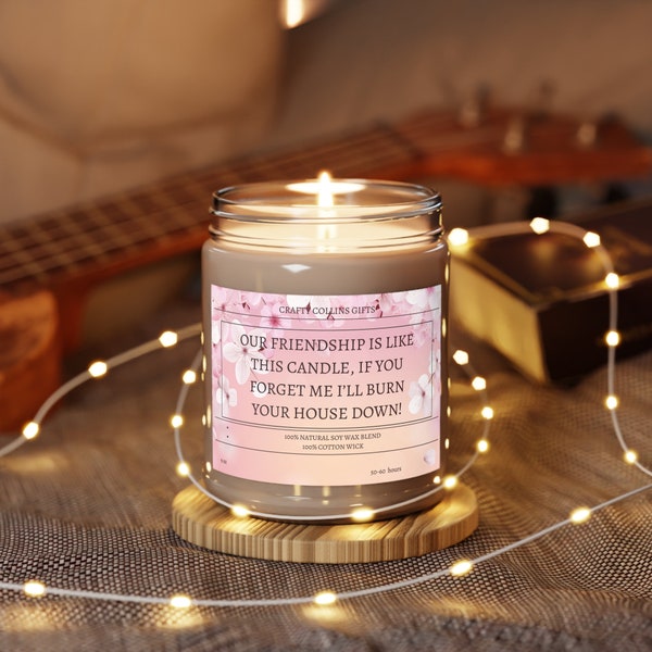 Our Friendship is Like this candle forget about me and I will burn your house down, Funny Friendship Scented Candle, Funny Friend Gift