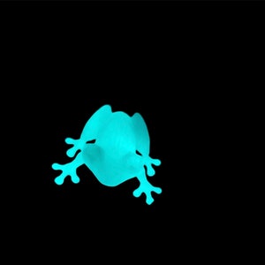 Glow in the dark frog