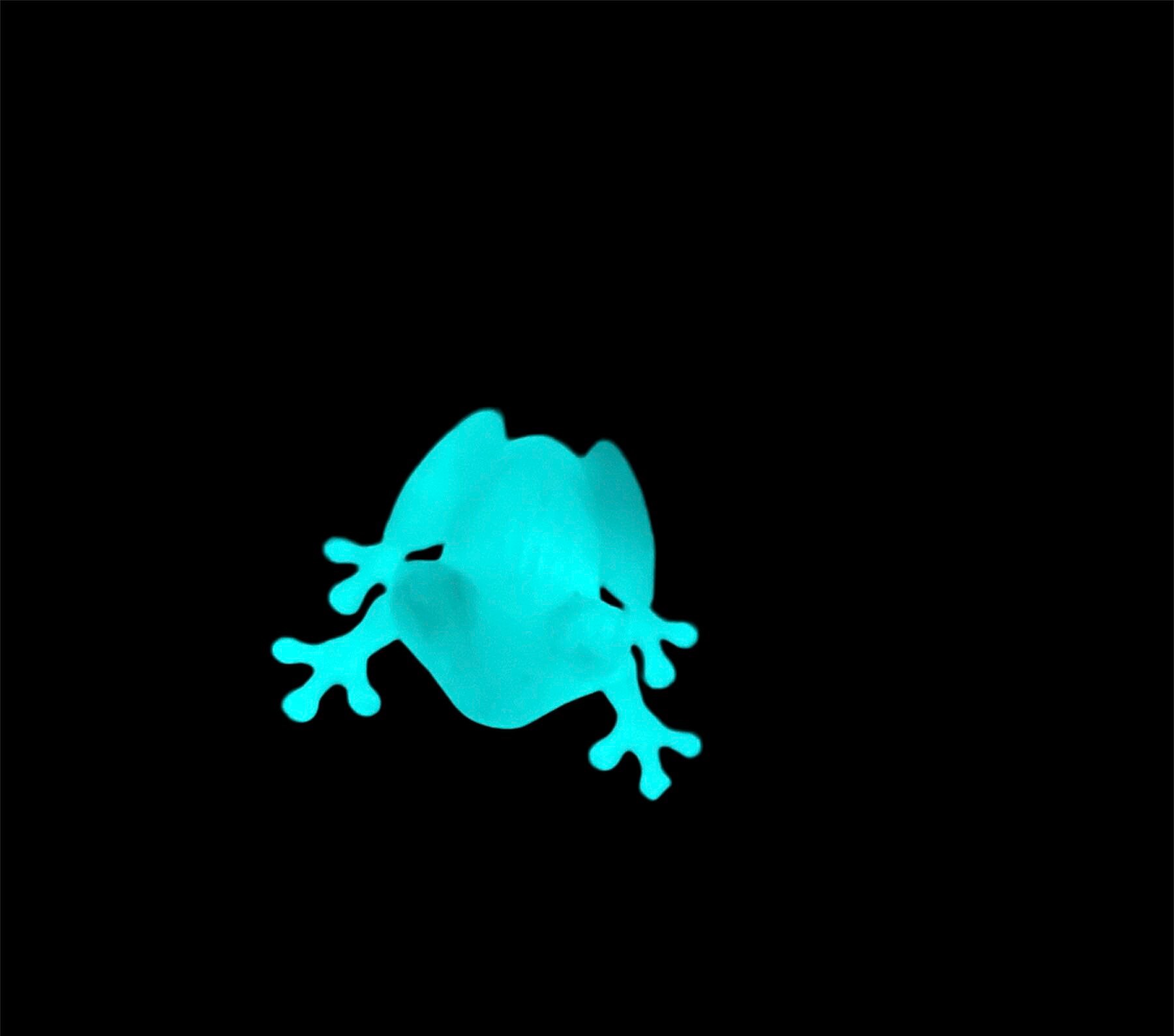 Glow in the Dark Frog Etsy