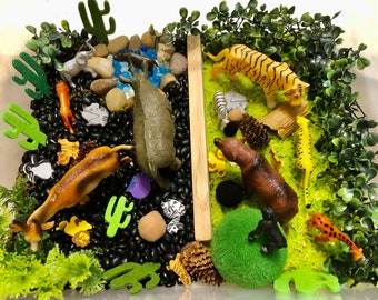 Sensory Bin/Montessori/Safari animals Sensory Bin/Safari animals/Zoo/Developmental Toy/Educational Toy/Sensory Kit/Busy Toddler/Sensory Calm