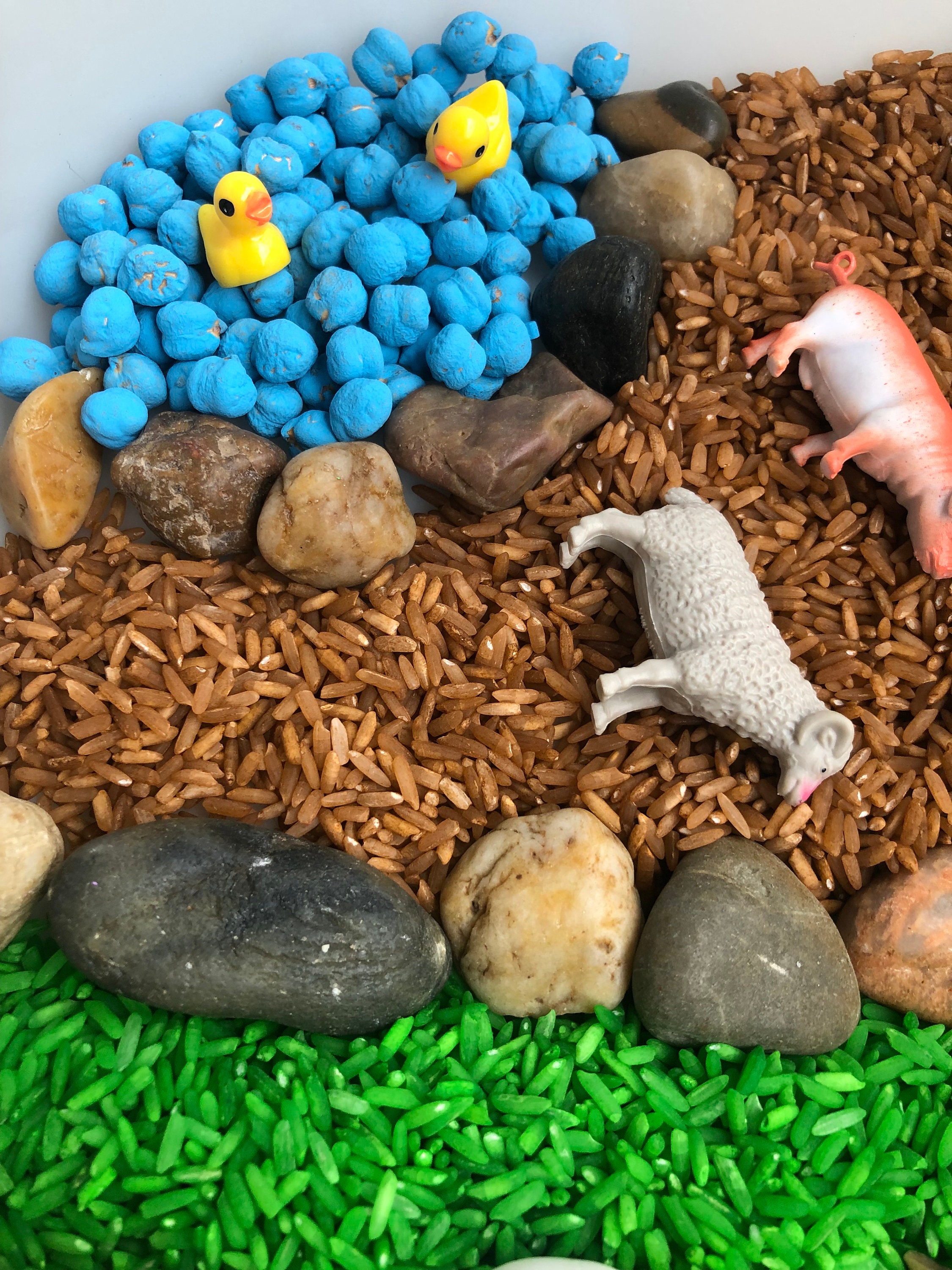 Farm Sensory Bin/farm/montessori/children/animals Sensory/sensory Kit