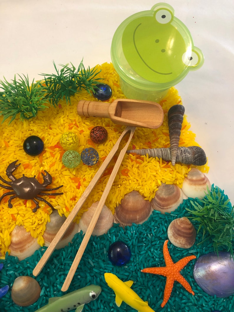 Sensory Kit/sensory Bin/fish Life Cycle Sensory Bin/early Etsy Canada
