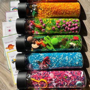 Sensory I spy Bottles/Montessori/Sensory bottles/Mermaid/Farm/Dinosaur Bottles/Sensory Kit/Imaginative play/Kindergarten sensory bin