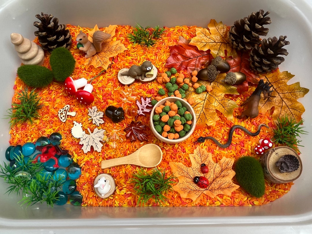 Fall Sensory Bin/forest Sensory Bin/sensory Kit/sensory