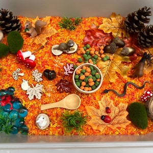 Fall Sensory Bin/Forest Sensory Bin/Sensory Kit/Sensory Bin/Sensory Play/Montessori