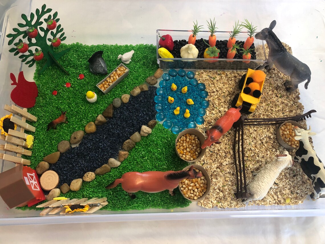 Farm Sensory Bin/farm/montessori/children/animals Etsy Canada