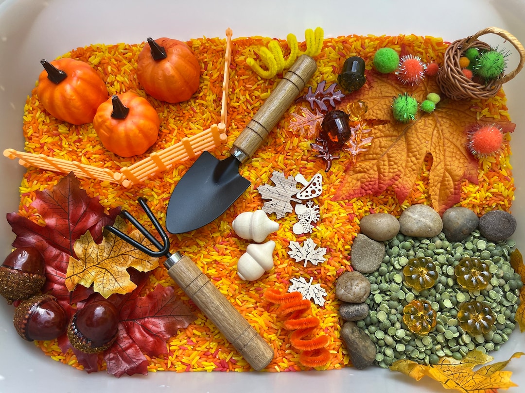 Pumpkin Sensory Bin/fall Sensory Bin/sensory