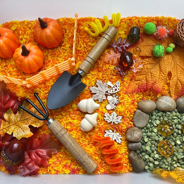 Pumpkin Sensory Bin/Fall Sensory Bin/Sensory Kit/Montessori/Sensory Play