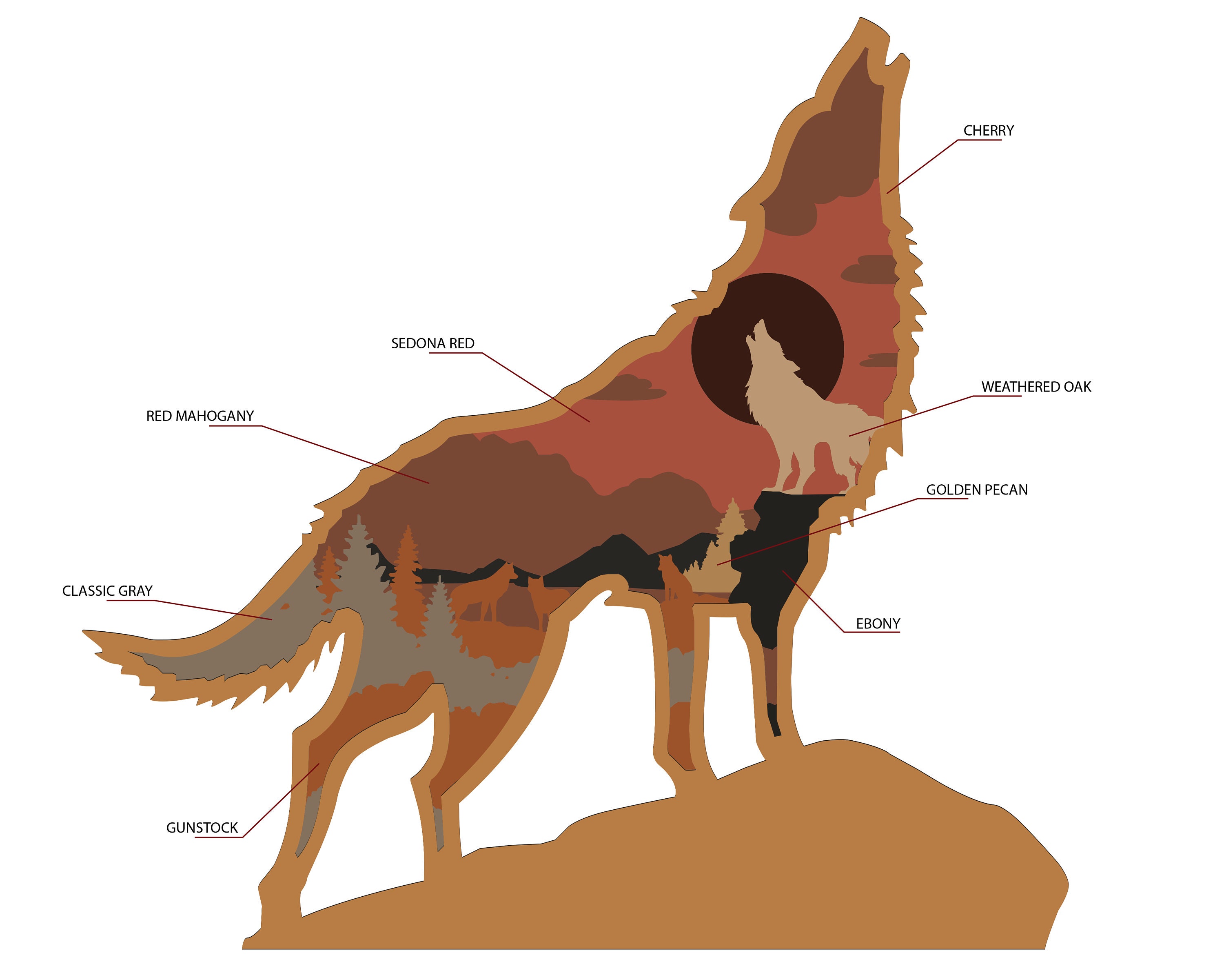 Wolf Anatomy Diagram