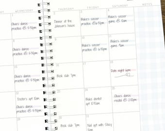 July 2026 - June 2027 Planner 12 Month Blue Gingham Planner Pink Plaid Planner Large Spiral Planner Weekly Spreads & Monthly Spreads