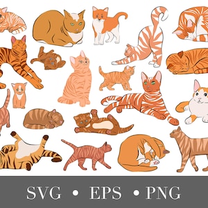 Orange Cat SVG and PNG clipart collection digital download and commercial use, Digital gift for cat lovers, Cat portrait