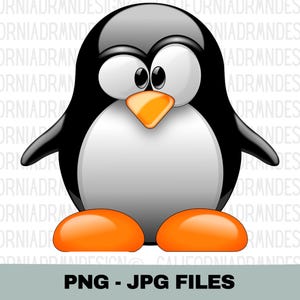 Pingüino PNG, Diseño de camiseta de pingüino, Amantes de los pingüinos, Idea de regalo de pingüino, Clipart de pingüino, Happy Feet PNG, Ave polar ártica, Archivo PNG de Cricut